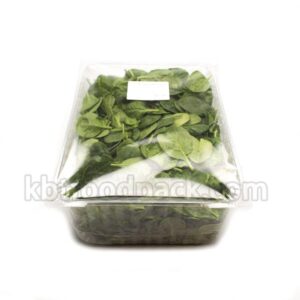 DM_20260107101831_004