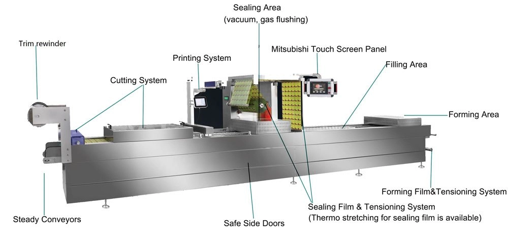 2026 Thermoforming Packaging Machine Trends for Food Shelf Life Extension